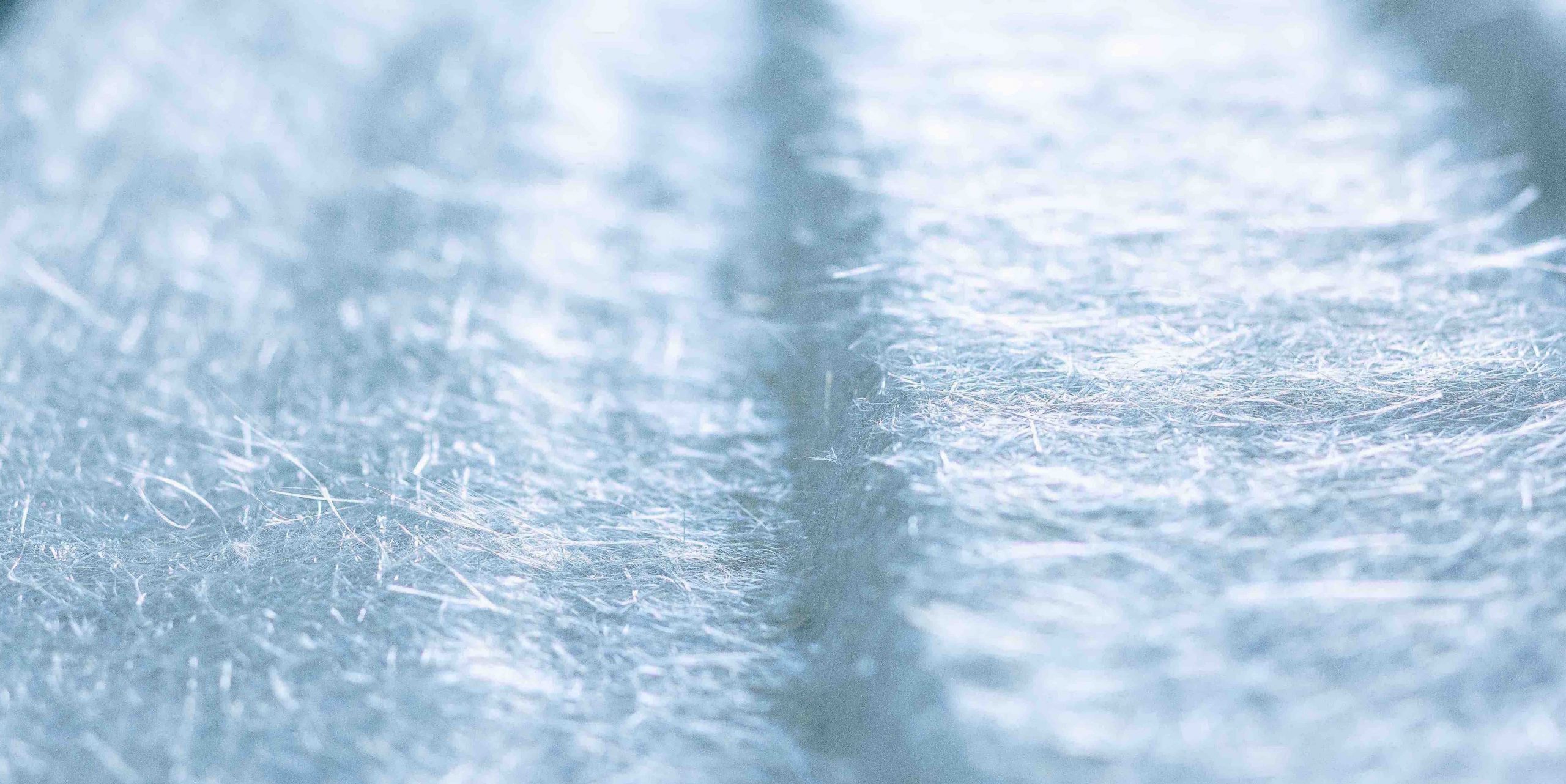 _R4A4530